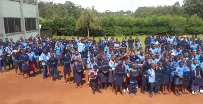 Back to school support for IDP children in Cameroon