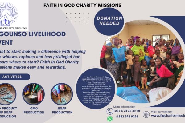 Ngounso Livelihood Event