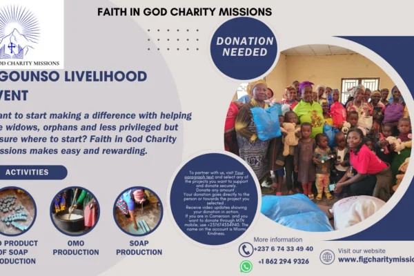 Ngounso Livelihood Event